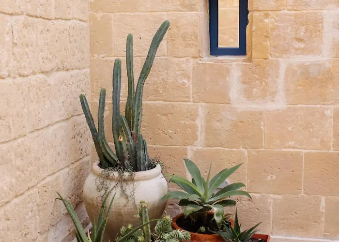 Nelsonhaus Gasthuis *